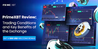 Experience the Future of Finance with Live Trading PrimeXBT